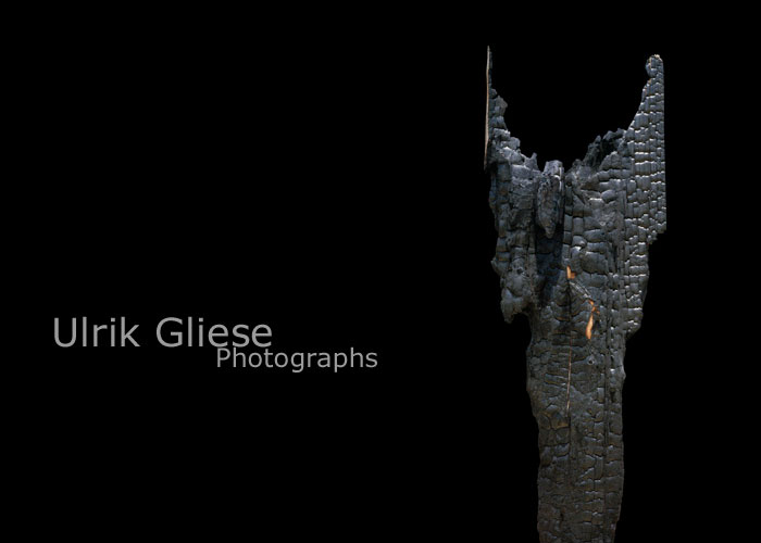 Art studio and gallery website of artist and photographer Ulrik Gliese featuring photographic art. His art is passionate and sensual and his images are semi-abstract to abstract in nature. The contents of the images revolve around amazing visual details found everywhere, sensuality, passionate emotions, and psychological and metaphysical aspects of life. The subject matter used for the photographs is found in nature, wood, trees, flowers, rocks, man made objects and the nude figure. The website also includes extensive writings that provide insights to the creation of the photographs and other activities revolving around the art, life and travels of the artist.